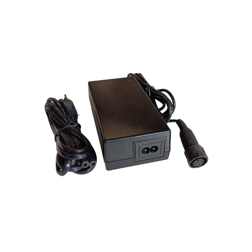 Chargeur de batterie BMZ 998002100. adapté à Gazelle Innergy
