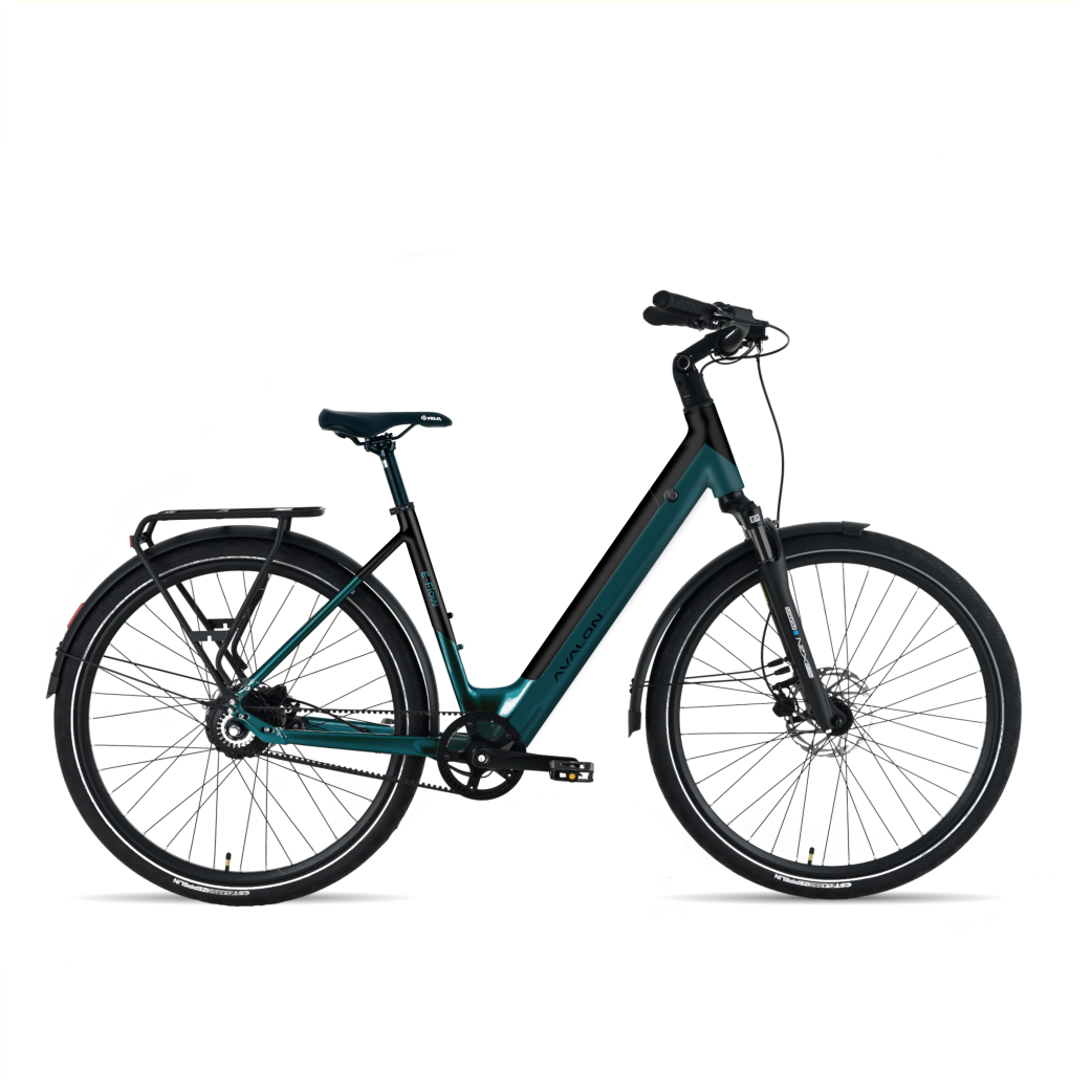 E-Flow D50mat Tapis Vert Pétrole