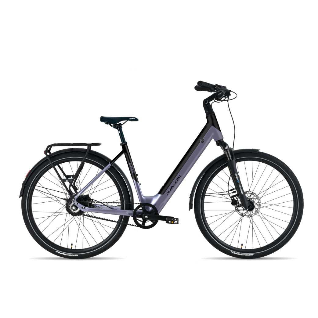 E-Flow D50matt Violet nacré mat